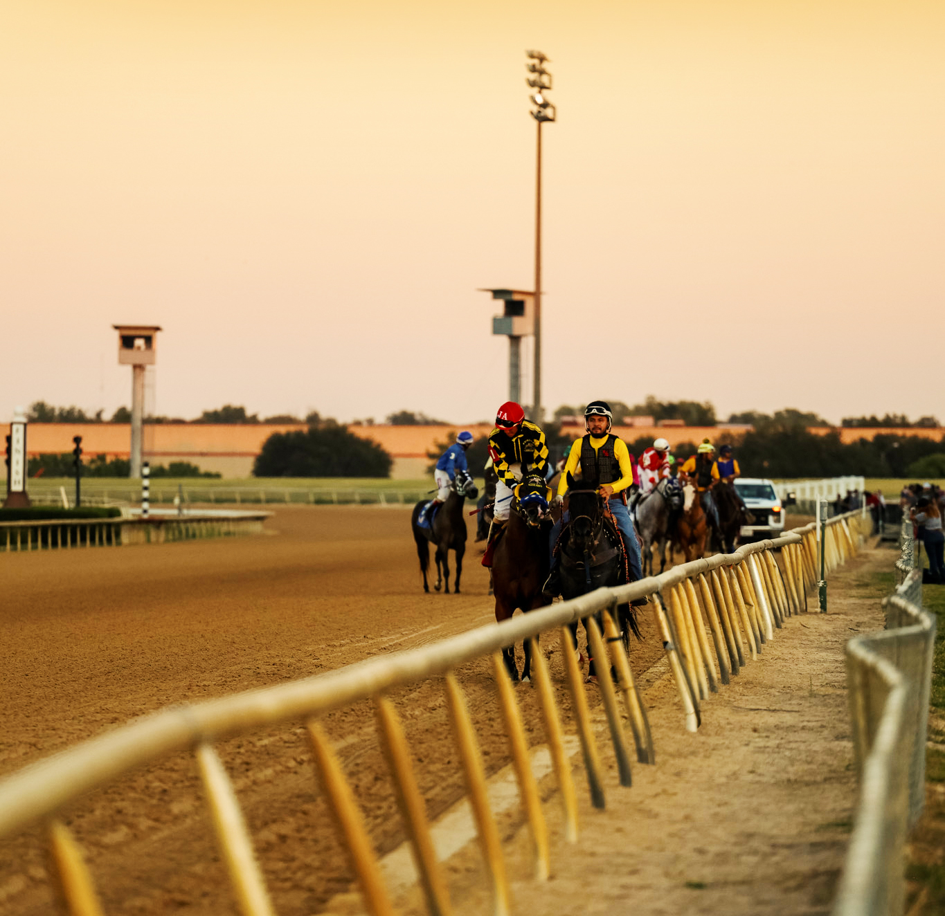 Quarter Horses returning from the track