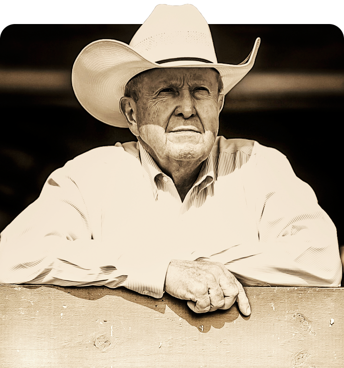 Butch Wise