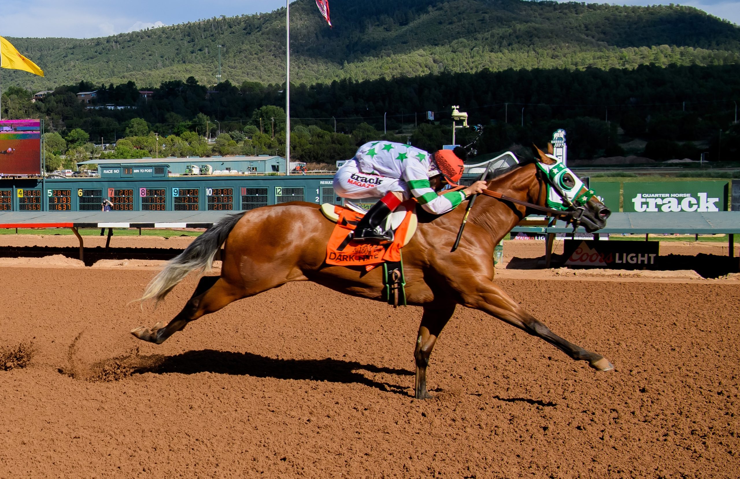 Dark NME race horse