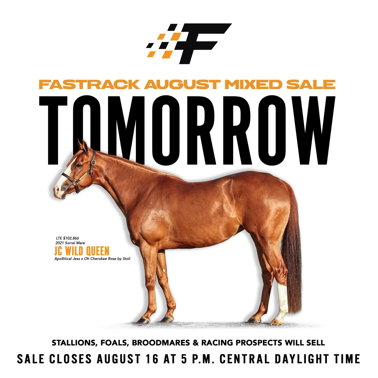 Stallions, Embryos, Broodmares and Runners: Fastrack’s August Mixed Sale Is Sunday